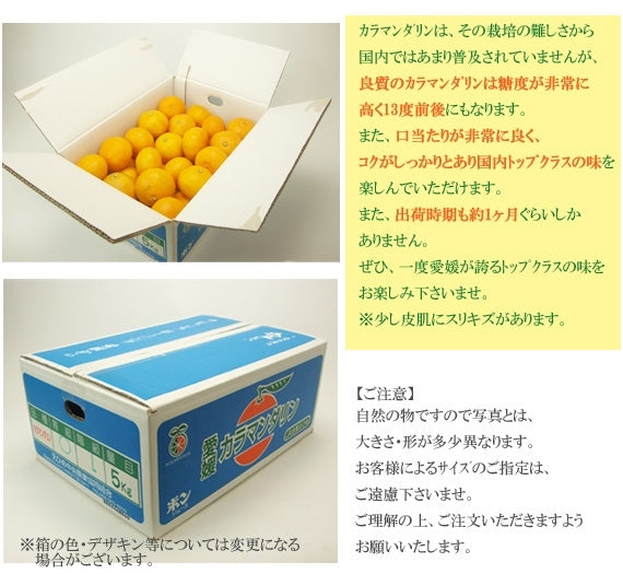 □販売終了□｢愛媛特産」☆完熟春みかん☆カラマンダリン[なつみ