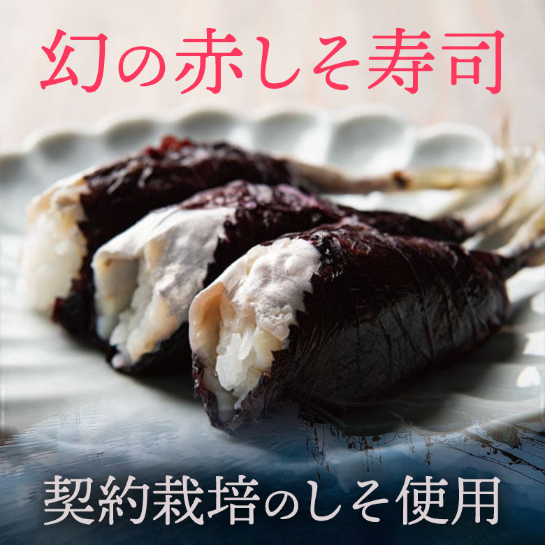 【10％以上お得！】【ひじき白和えの素25g×4袋・幻の赤しそ寿司(4〜5貫入り×4セット) 鰺(アジ)】のお得なセット【送料無料】北海道・沖縄は別途送料