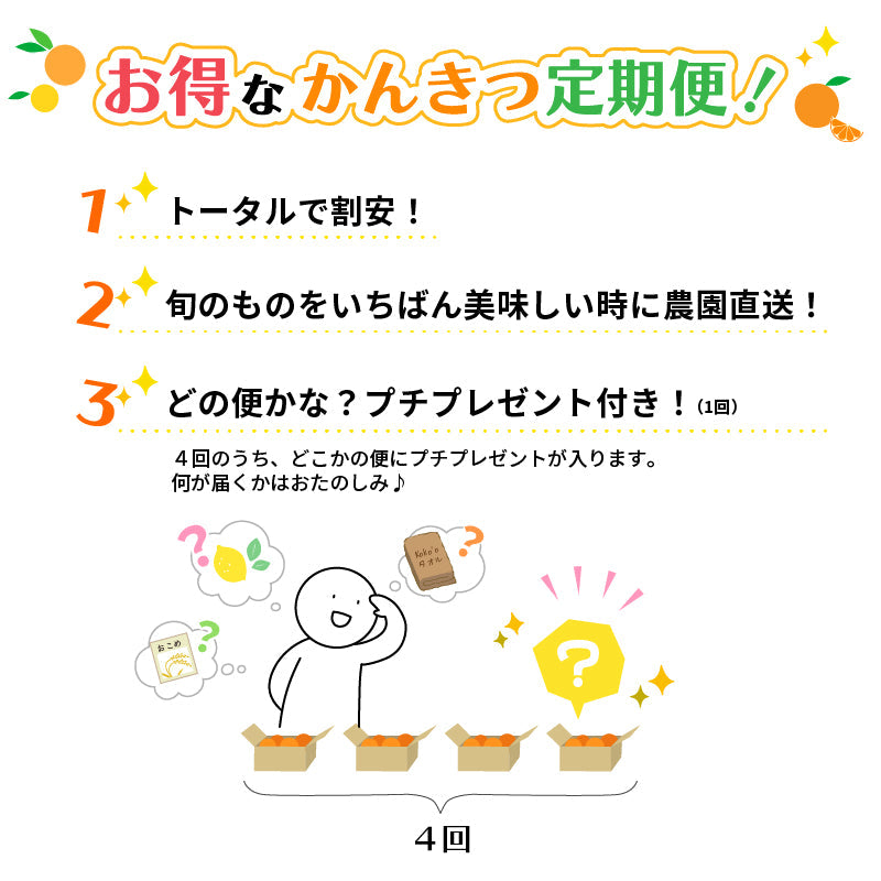 ※今季販売終了※【送料無料】お得！農家のイチオシ・セレクト定期便〈家庭用・優品〉【全4回】※お楽しみプチプレゼント付き