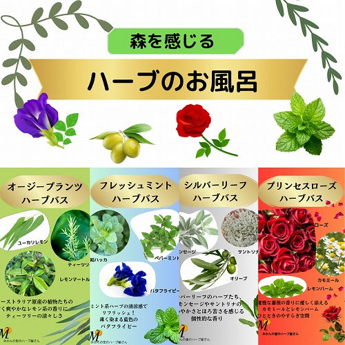 【送料込み】森を感じる 『ハーブのお風呂 ・4種セット』 【ポスト投函・ネコポス便】