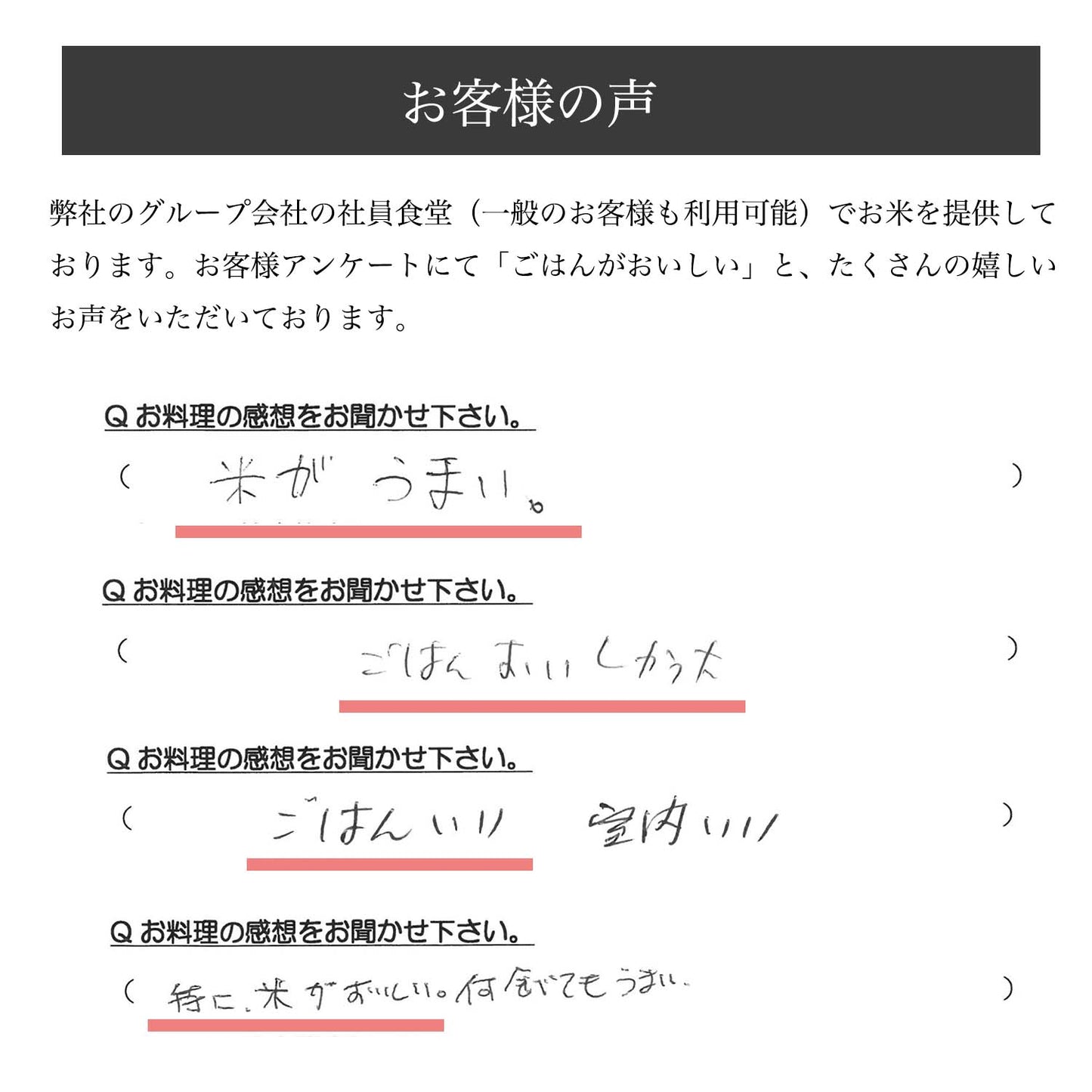【販売終了致しました】【送料無料※一部地域除く】2024年度(令和6年度)山形県産特別栽培つや姫10kg