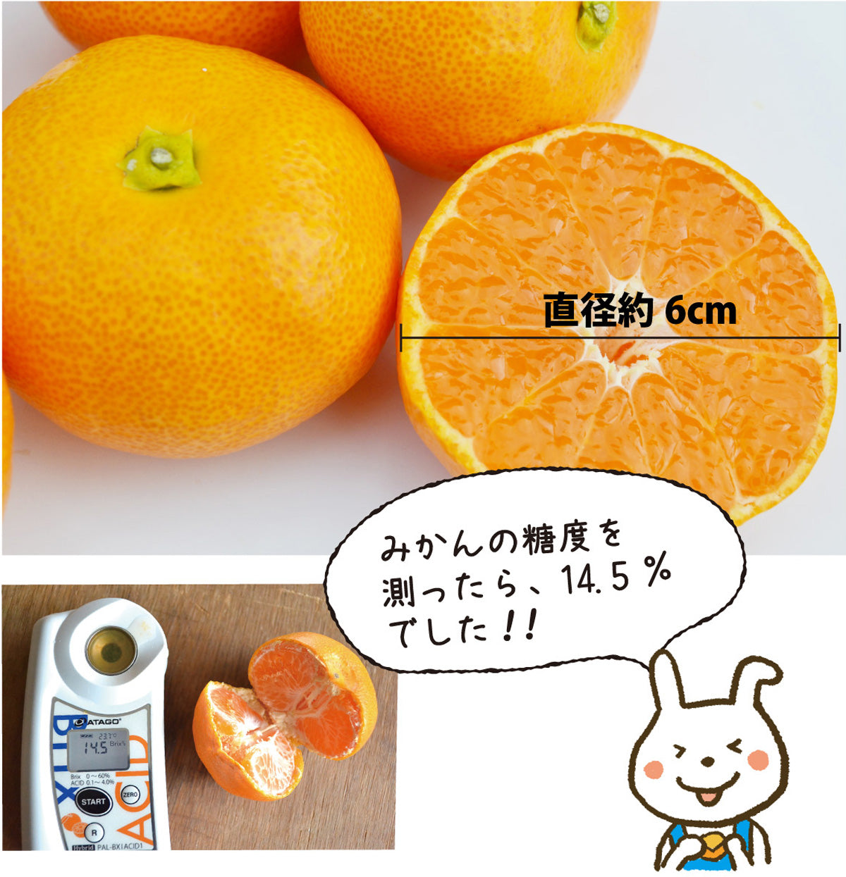 夏のオススメ！★極甘！ハウスみかん（Sサイズ）★【お中元2025】【フルーツ】