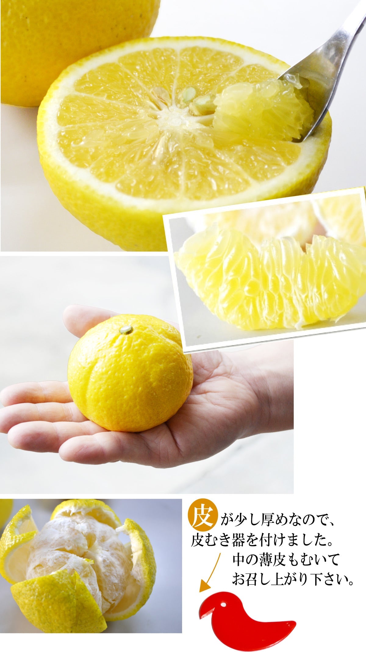 春の香りを運ぶ＜上品な甘さ＞★はるか ★（混合サイズ）