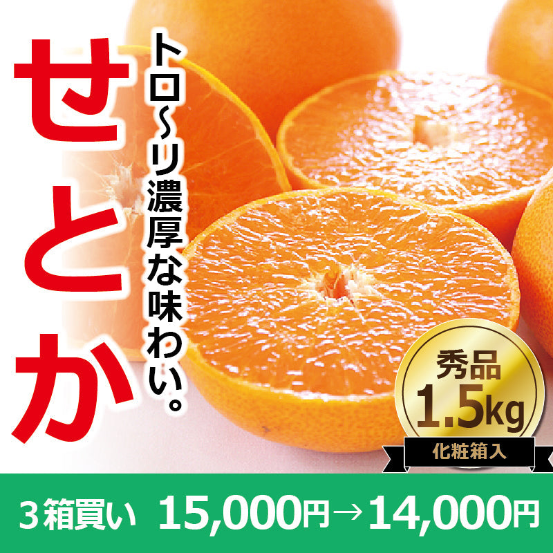 ※今季販売終了※【送料無料】高級ブランドかんきつ「せとか」〈秀品・化粧箱 小〉約1.5kg　※発送は２月中旬～３月中旬予定