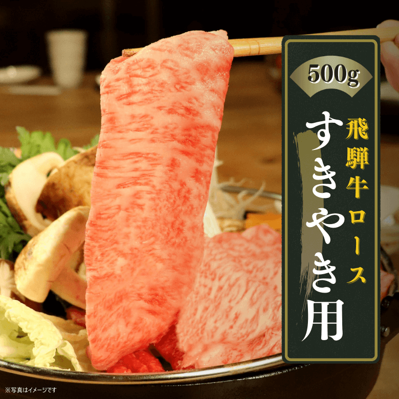【特選】飛騨牛ロース・すきやき用（500ｇ入り）《冷凍便》【精肉・肉加工品】