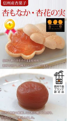 【信州千曲ブランド】杏丸ごと＜杏花の実＞・雑誌【VERY】でご紹介爽やか＜杏もなか＞大人気 セット（杏もなか5個・杏花の実4個)【和菓子】