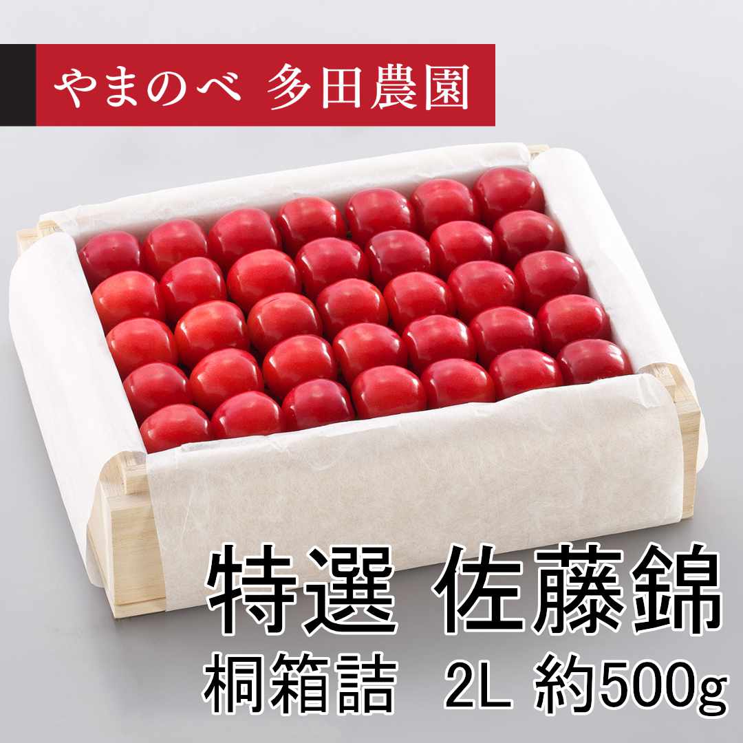 特選　佐藤錦（2Lサイズ 桐箱詰）約500g　先行予約受付中