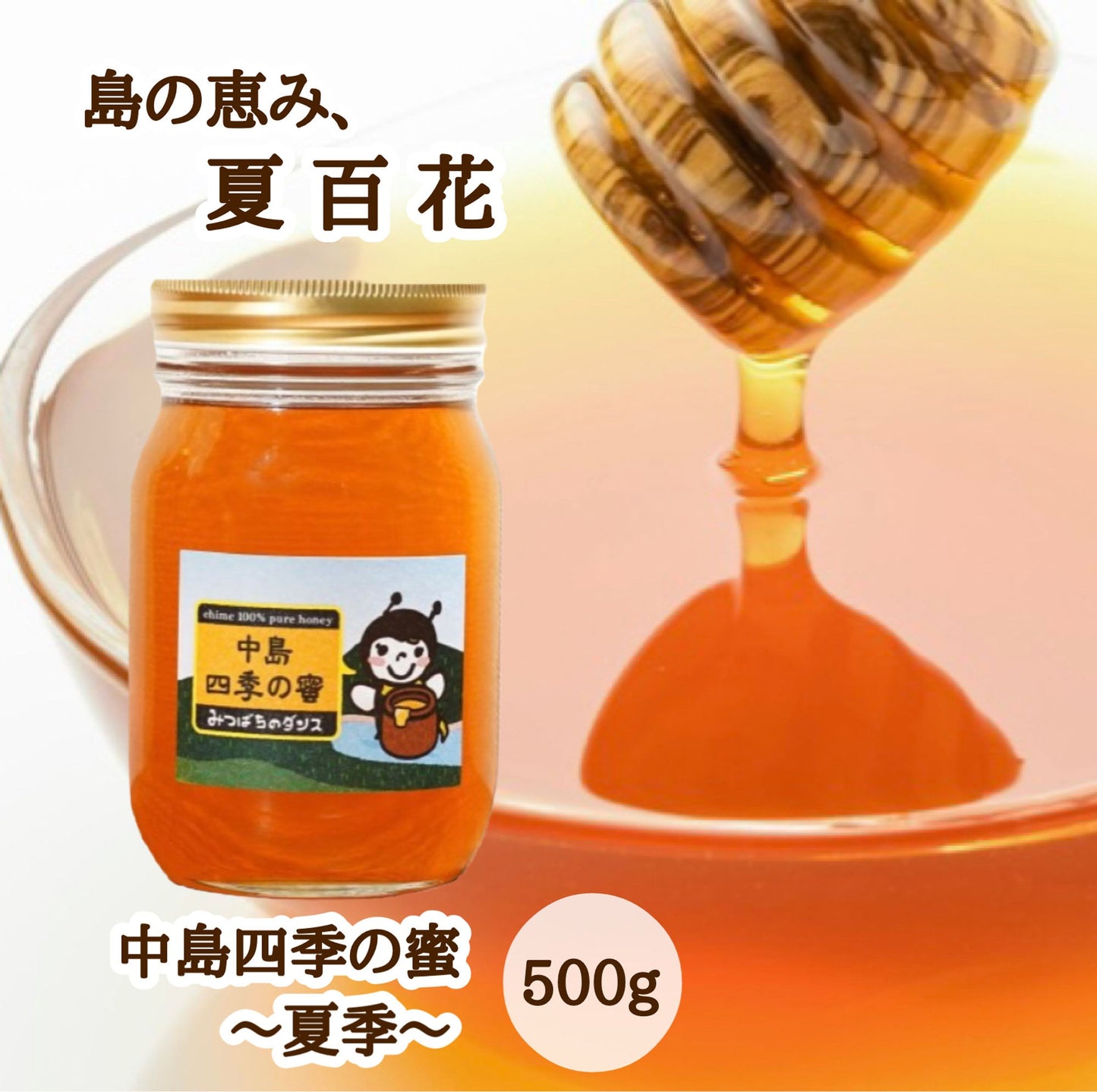 はちみつ　令和7年度産　新蜜　島の恵み、夏百花　「中島四季の蜜～夏季～」 愛媛県産　松山中島産純粋ハチミツ　中島四季の蜜～夏季～　500ｇ