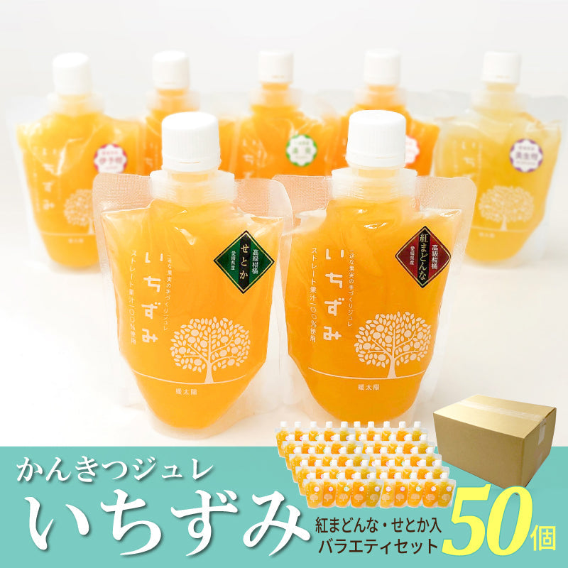 かんきつジュレ「いちずみ」　紅まどんな・せとか入り（50個セット）【送料無料】