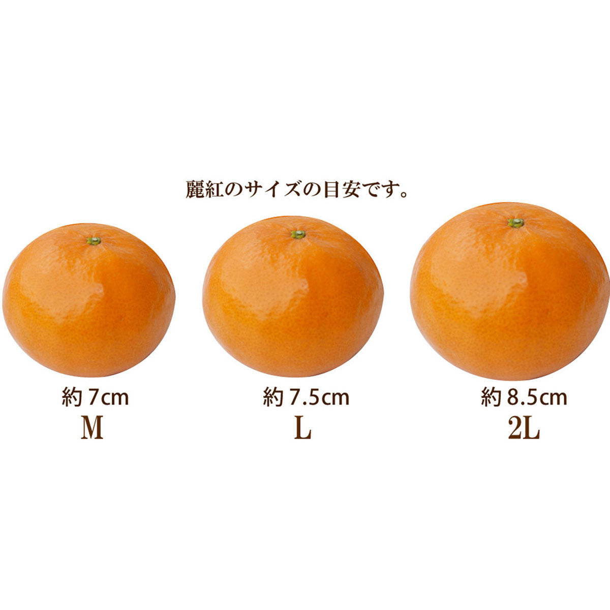 ★濃厚でフルーティーな味わい♪★ ハウス栽培 麗紅（れいこう）