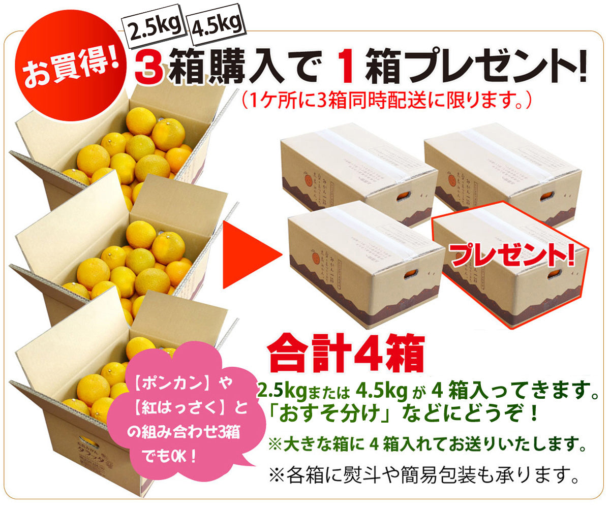 【はっさく＆温州みかん】爽やかな美味しさ★スイートスプリング★