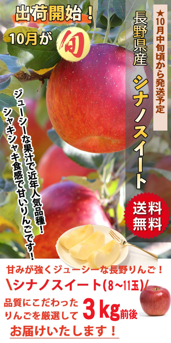 【売り切れ】【送料無料】長野県産シナノスイート 特秀品・3㎏前後（8～11玉）10月中旬から発送予定※北海道・九州追加送料200円、沖縄追加送料400円