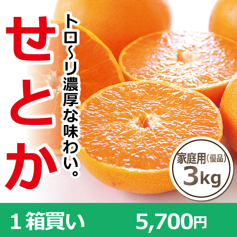 ※今季販売終了※【送料無料】高級ブランドかんきつ「せとか」〈家庭用・優品〉約3kg　※発送は２月中旬～３月中旬予定