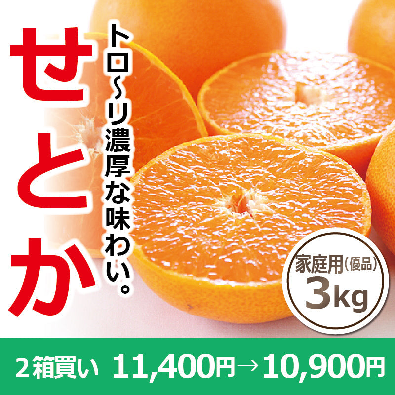 ※今季販売終了※【送料無料】高級ブランドかんきつ「せとか」〈家庭用・優品〉約3kg　※発送は２月中旬～３月中旬予定