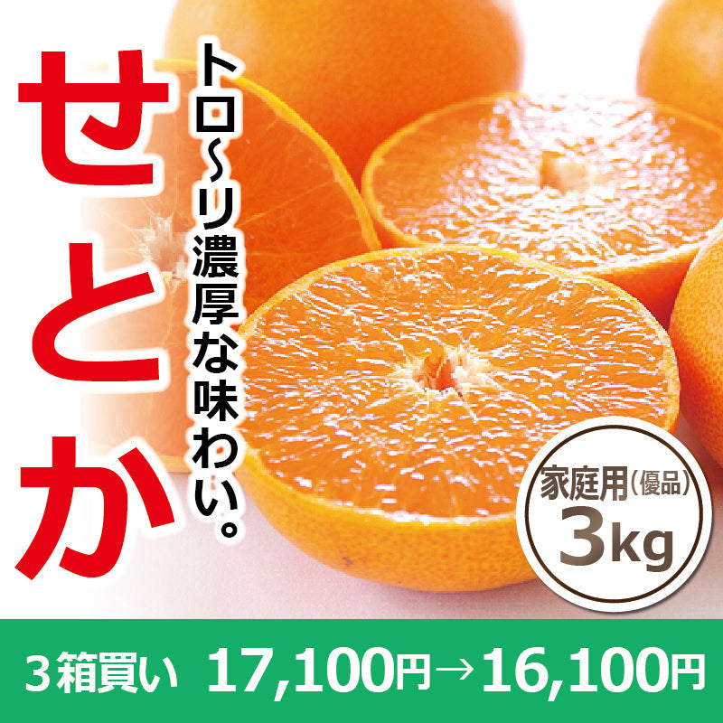 ※今季販売終了※【送料無料】高級ブランドかんきつ「せとか」〈家庭用・優品〉約3kg　※発送は２月中旬～３月中旬予定