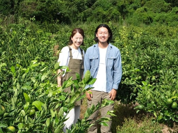 【送料込み】藤村さんの山北みかん2.5ｋｇ秀品（Ｍサイズ）