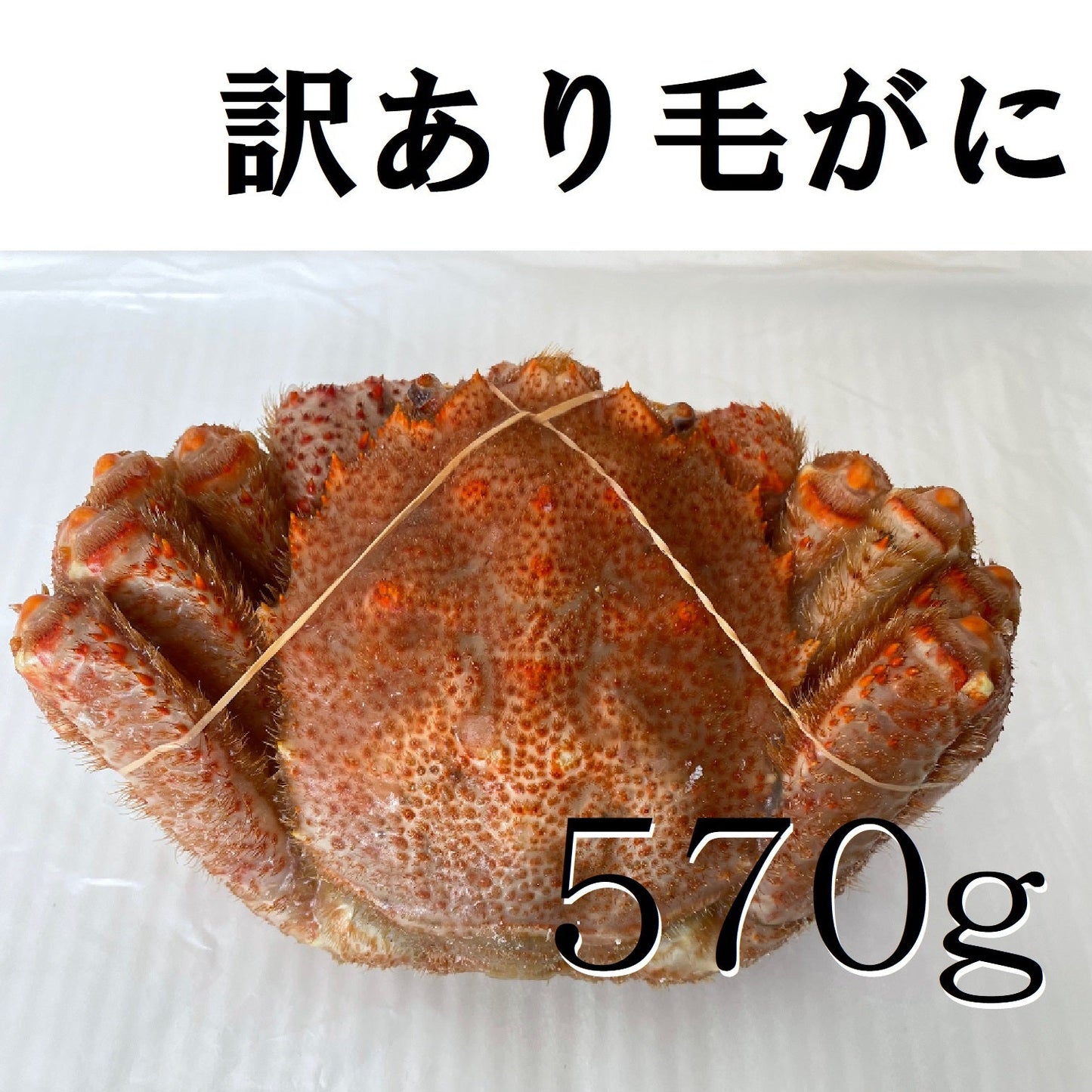 【数量限定大特価！】訳あり毛ガニ（500ｇ～570ｇ）～ 【カニ・鮮魚・魚介類】ギフト  2025 北海道産 海鮮