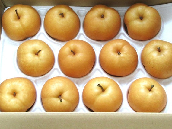 数量限定【送料込み】高知産　森沢梨園　豊水梨５kｇ（１１玉～１２玉）