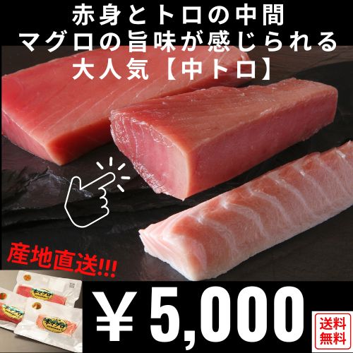 【送料無料】【産地直送】津軽海峡産・本マグロ