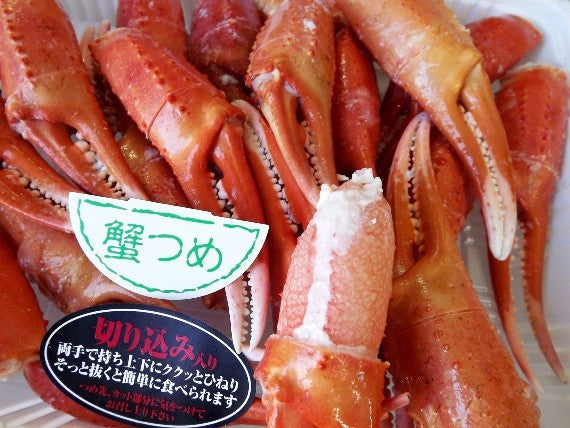 【送料無料】北海道稚内産旬ゆで紅ずわいつめ500gと甘～い刺身ほたて200ｇのセット