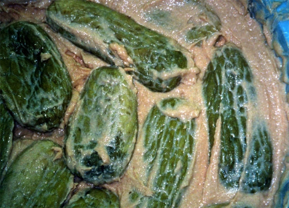 手づくりの白瓜の粕漬