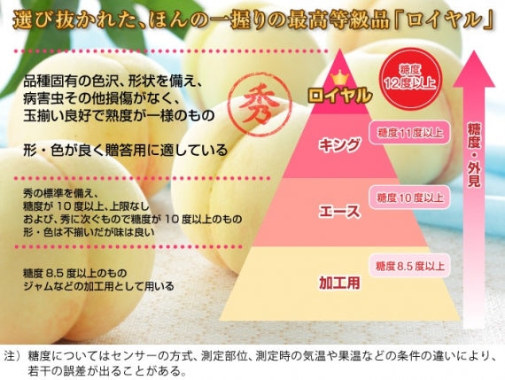 「岡山白桃」（光センサー選別「ロイヤル」糖度12度以上）9個～12個（約2.7㎏）【お中元2025】【フルーツ】  発送は6/20～8/30日迄