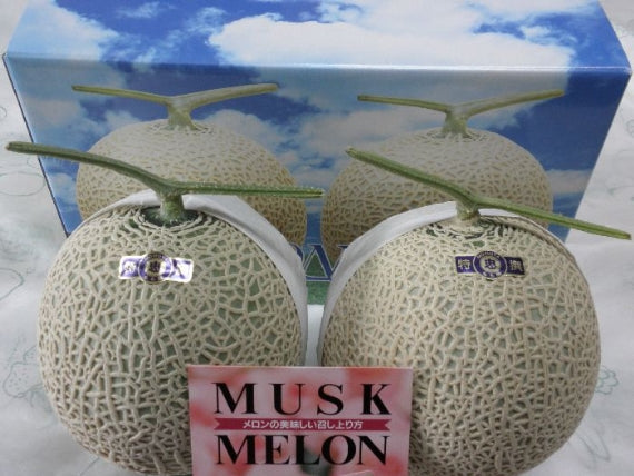 マスクメロン（アールス種）九州・高知・岡山産（1.3ｋｇ×2個入り）「マスクメロンは、王様」　★送料無料！