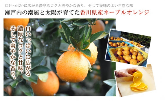 【瀬戸内芳醇オレンジケーキ】　誕生日　プレゼント　母の日　父の日　ギフト　お取り寄せ　香川県産ネーブルオレンジ　希少糖含有シロップ　しっとり　ふんわり　