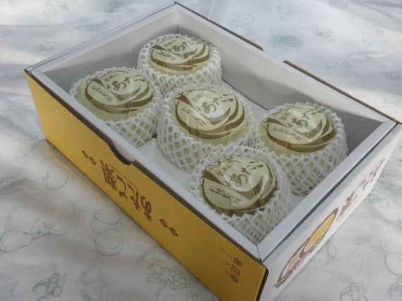 「岡山特産「日本最大級の梨」あたご梨(ジャンボ梨）3個～6個　【お歳暮2025】【フルーツ】発送は、１１月下旬から。