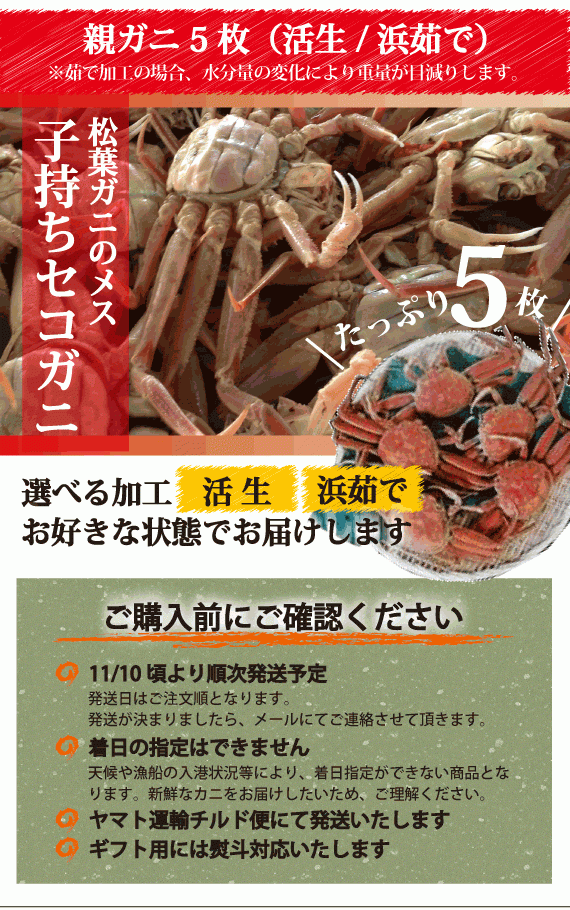 松葉ガニ漁解禁！　親ガニ（セコガニ）5枚セット【生／茹で】