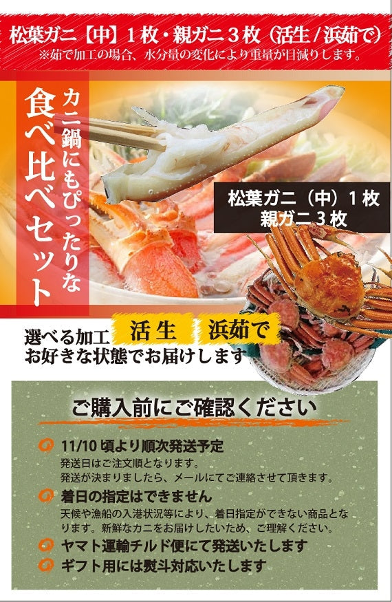 松葉ガニ漁解禁！　夫婦セット　松葉ガニ（中）1枚＆親ガニ3枚　【生／茹で】