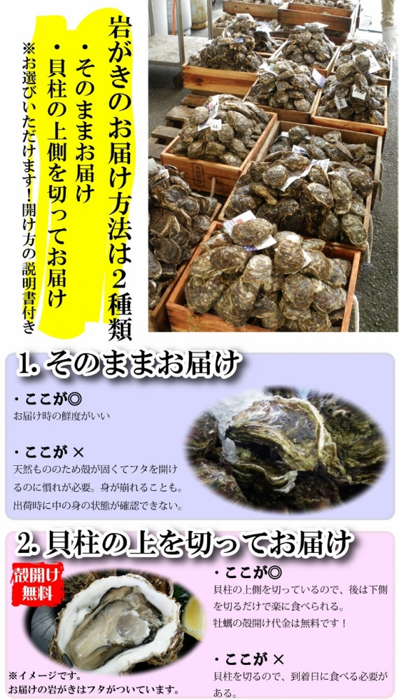 鳥取賀露港　天然岩がき「夏輝」　3~5個セット