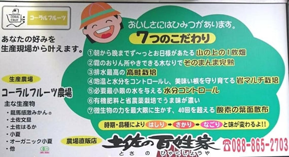 予約受付中！10/9より発送予定【秋のみかん】ギフト可！採りたて（４kg箱40～50個）酸味少なめミカンらしいお味です！送料無料一部地域除く・【レギュラー選別】