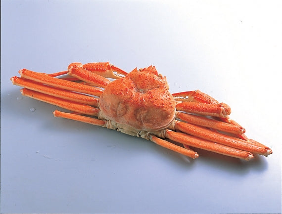 ボイルずわいがに姿４尾入セット(400ｇ×４)