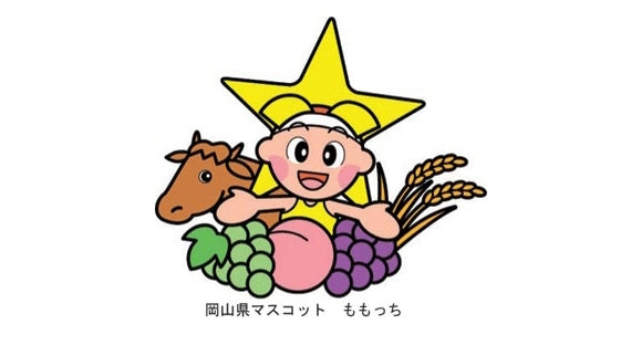 ★岡山県産マツタケ（つぼみ・中つぼ）【500ｇ】