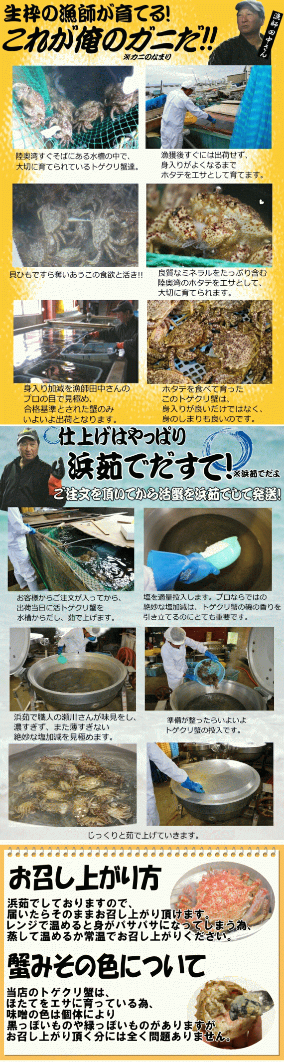 青森の毛蟹 トゲクリ蟹 オス 1キロ 約3杯～6杯 送料無料【トゲクリガニ 毛蟹 トゲクリカニ】