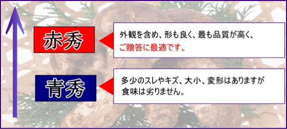 ★国産・岡山県産まつたけ（つぼみ・中つぼ）◎200ｇマツタケ松茸　