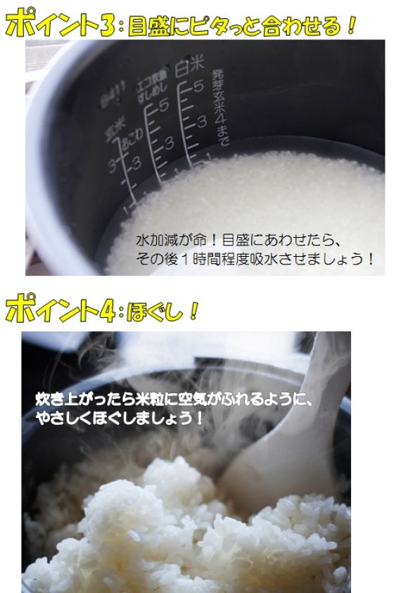 令和6年産　南魚沼産こしひかり（南魚沼地区限定）　10kg