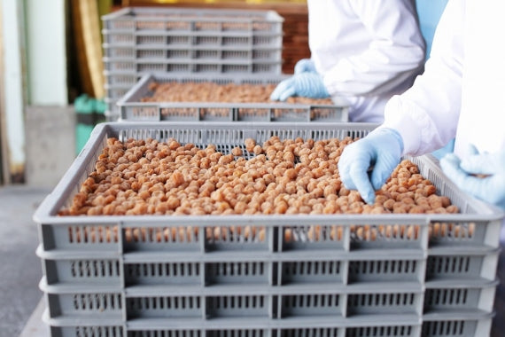 上州産　織姫小梅干し　150ｇ2個