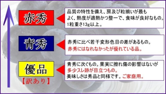 「岡山特産」ニューピオーネ [青秀] 3房～6房（2kg）【発送は８/20から】