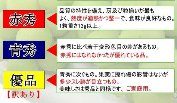 岡山県産 瀬戸ジャイアンツ 3～5房 (約2kg）【赤秀】