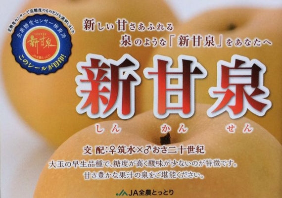 新甘泉（しんかんせん）「JA鳥取オリジナル品種」【青秀】約5kg （10～16個入）鳥取の二十世紀梨が生んだ赤梨の新生。