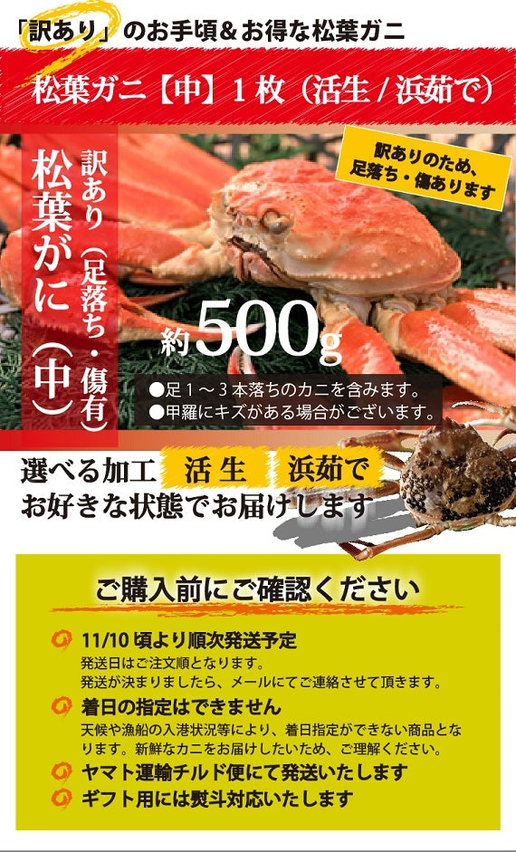 ★訳あり★ 　お得な松葉ガニ（大/800ｇ前後）【生／茹で】