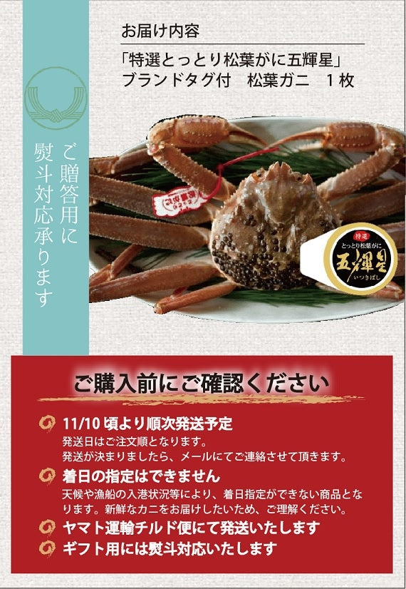 最高級ブランド・特選とっとり松葉がに「五輝星」　 タグ付　【生／茹で】