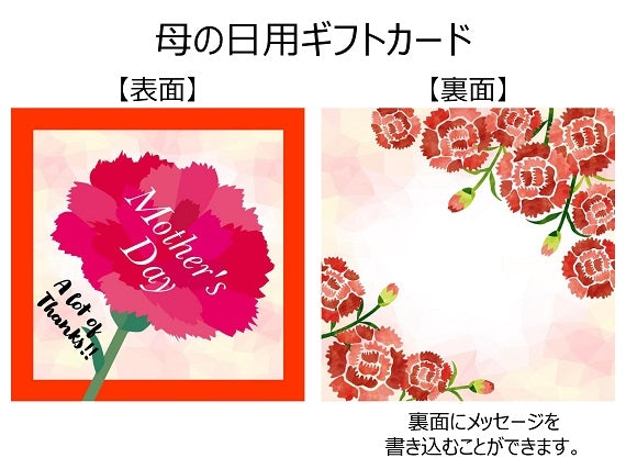 【母の日ギフト】完全無添加！お肌にやさしい★　道後美肌セット（さくら）【健康・おしゃれ】