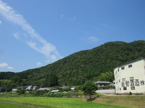 旨みぎゅっとレモンペースト入り　にごり皮ごとレモンサワーベース（500ml×12本）