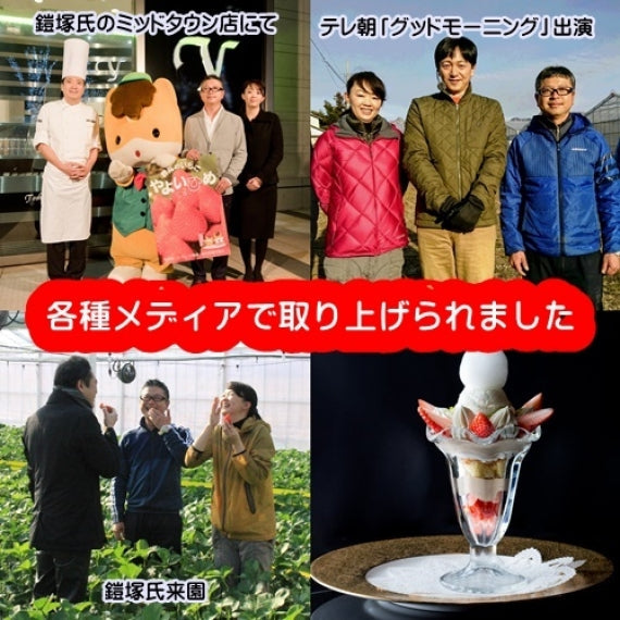 【予約受付中】とちおとめダブル×2箱(発送時期:2025年12月～）【送料込み】