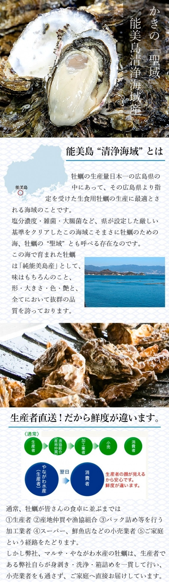 【瞬間冷凍】大粒カキフライ 4０個(20個×2)  牡蠣の『聖域』能美島(江田島) 清浄海域産！かき屋さんが 作った こだわり！