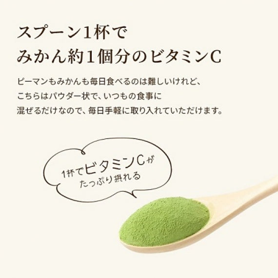 100％ ピーマン パウダー 50g 2パック 【送料無料】【常温長期保存 】【産地直送】