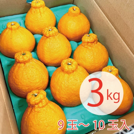 【送料無料】熊本県産　不知火みかん3kg(露地物)